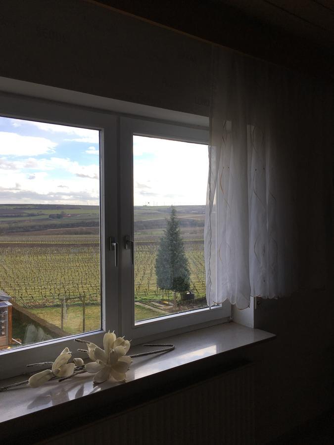 Apartment Ha-wei -80 M2 Hangen-Weisheim